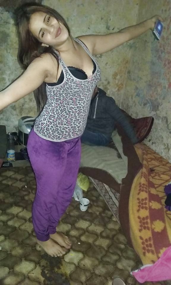 chat 12 algerie